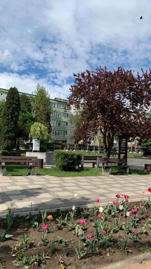 Best Apartment City Hall Suceava Exterior photo